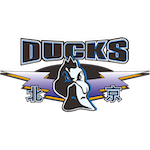  赛场遗憾与职业守望：曾凡博伤情背后的球队抉择 体育新闻