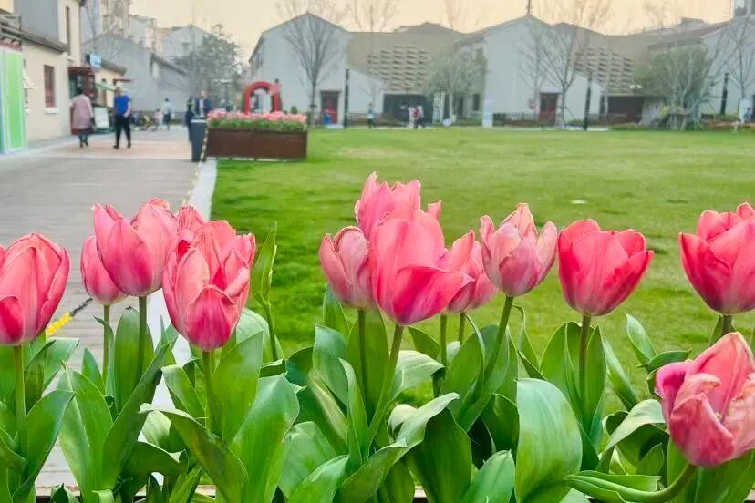  从“不可能”到“96%”：长白街道透明物业的底层逻辑与可复方法论 房产家居