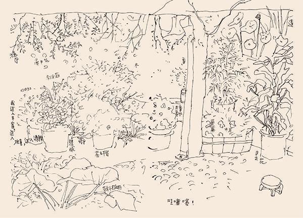  从乡村讲台到安徒生奖：蔡皋生活感知体系的建构路径 文化旅游