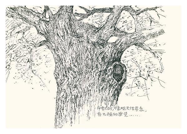  从乡村讲台到安徒生奖：蔡皋生活感知体系的建构路径 文化旅游