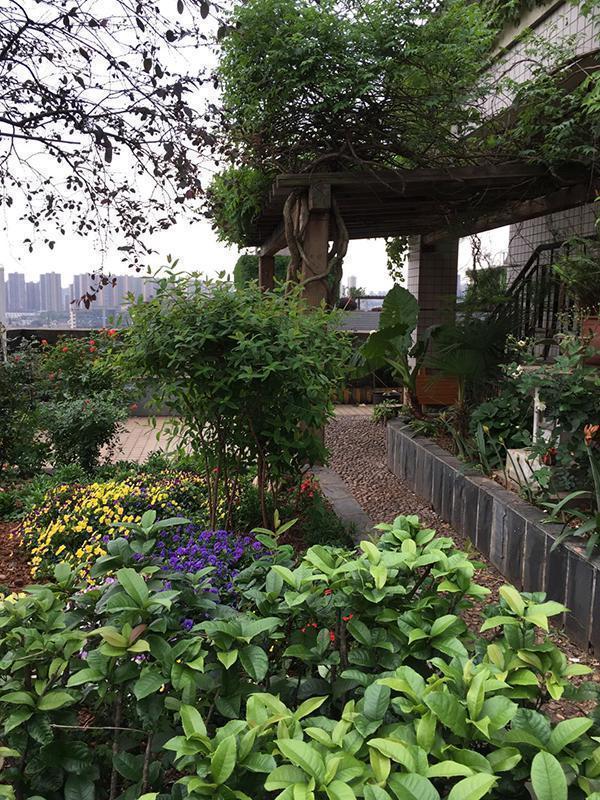  从乡村讲台到安徒生奖：蔡皋生活感知体系的建构路径 文化旅游