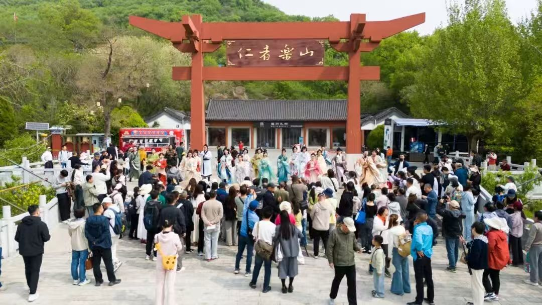  【技术解码】孔望山830年流苏树：古树保护与沉浸式文旅的融合实践 文化旅游