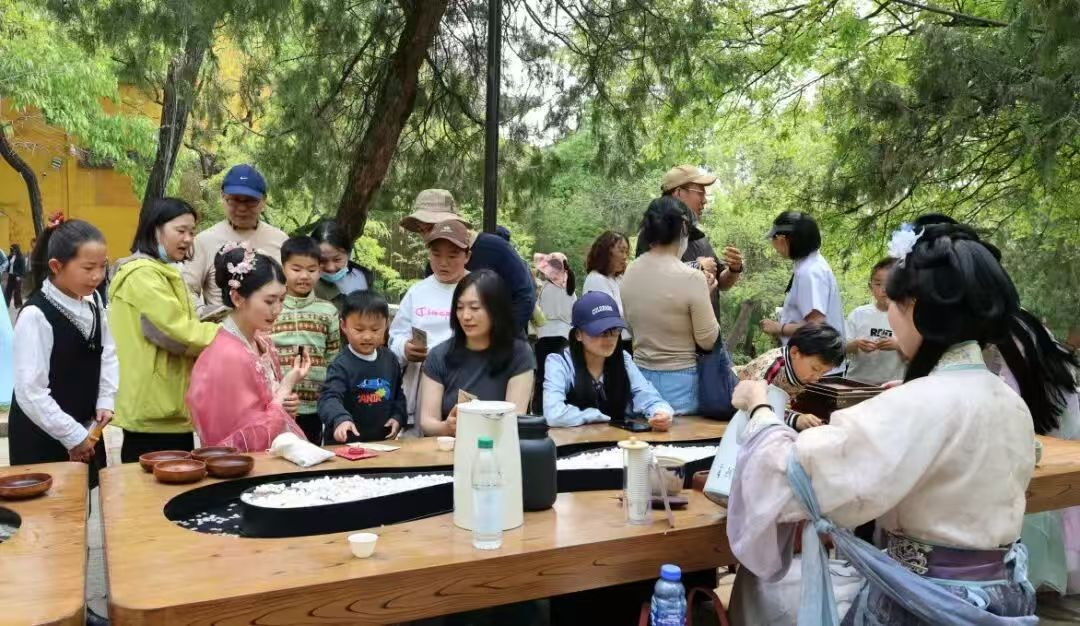  【技术解码】孔望山830年流苏树：古树保护与沉浸式文旅的融合实践 文化旅游