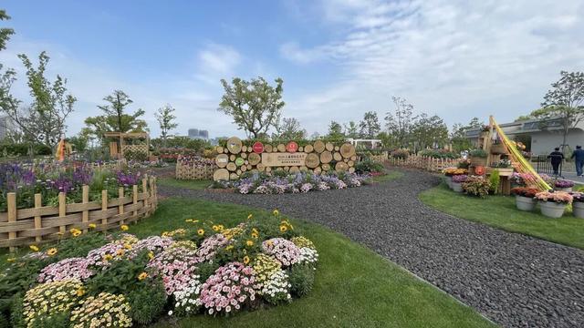  从数据到花海：40公顷展区的技术深挖与园艺革新 文化旅游