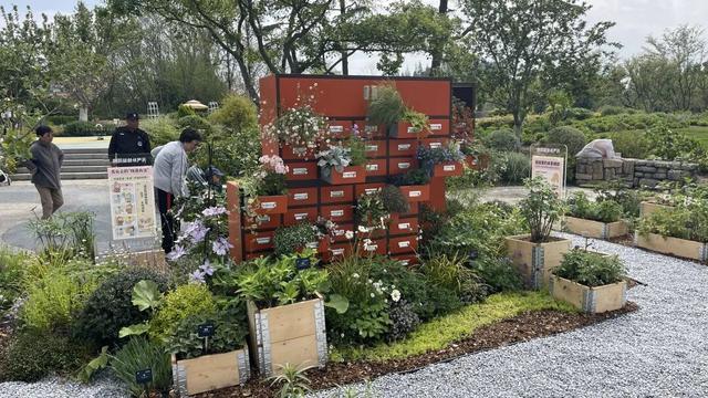  从数据到花海：40公顷展区的技术深挖与园艺革新 文化旅游