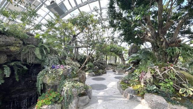  从数据到花海：40公顷展区的技术深挖与园艺革新 文化旅游