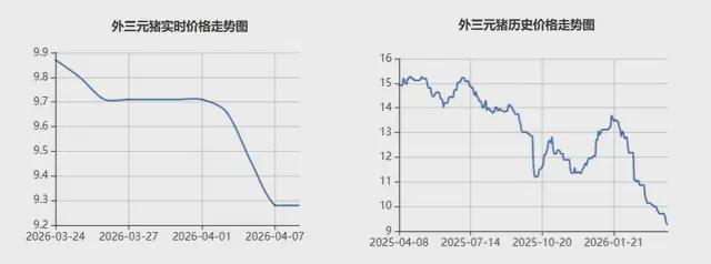  猪肉跌穿历史底价：规模化养殖如何重塑猪周期底层逻辑 股票财经