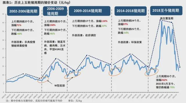  猪肉跌穿历史底价：规模化养殖如何重塑猪周期底层逻辑 股票财经