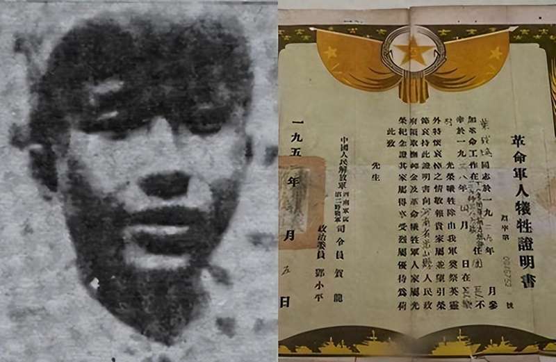  铁血太行：129师772团的指挥链断层与精神重塑 新闻