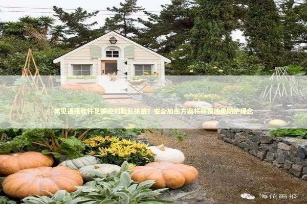 常见通讯软件足够应对隐私挑战？安全加密方案将颠覆传统防护理念 新闻