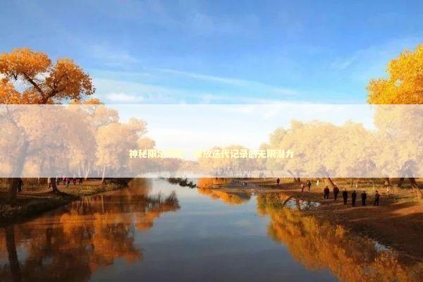 神秘限定揭秘：释放迭代记录的无限潜力