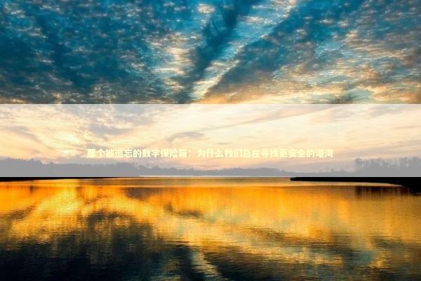 那个被遗忘的数字保险箱：为什么我们总在寻找更安全的港湾