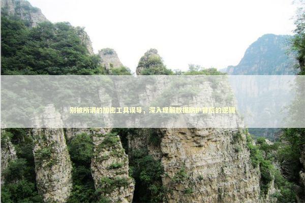 别被所谓的加密工具误导，深入理解数据防护背后的逻辑