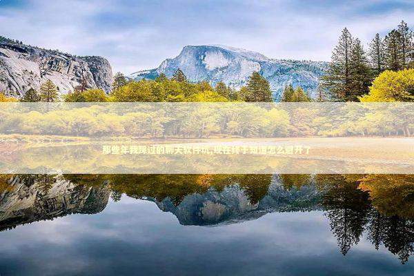 那些年我踩过的聊天软件坑,现在终于知道怎么避开了