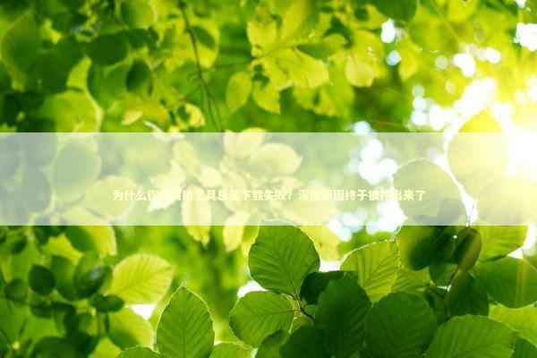 为什么你的网络工具总是下载失败？深层原因终于被挖出来了