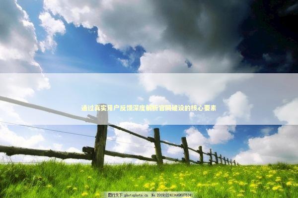 通过真实用户反馈深度解析官网建设的核心要素 IT技术