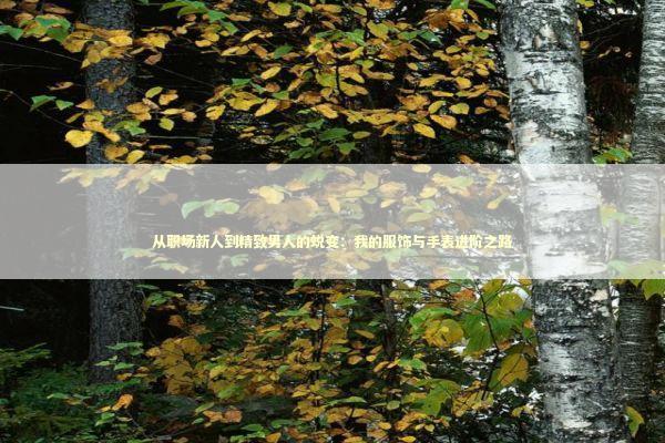 从职场新人到精致男人的蜕变：我的服饰与手表进阶之路