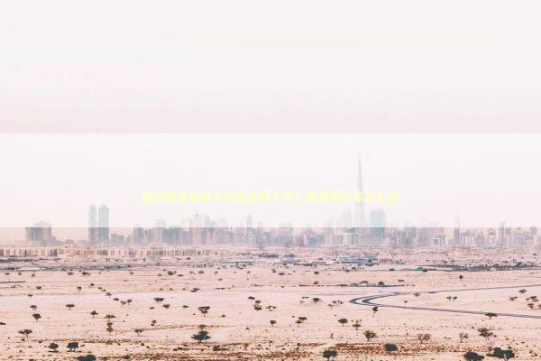 想买奢侈品但不知道从何下手？来看看行家怎么说 时尚用品