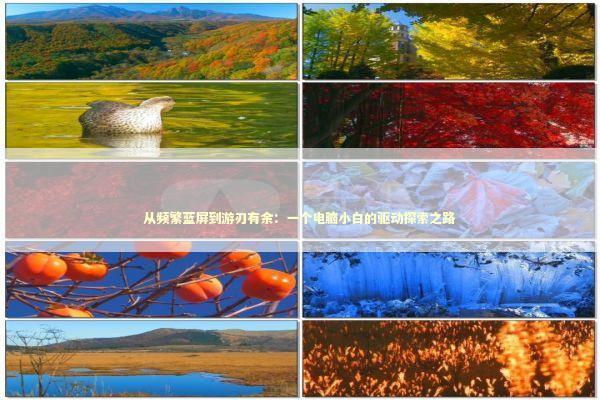 从频繁蓝屏到游刃有余：一个电脑小白的驱动探索之路 IT技术