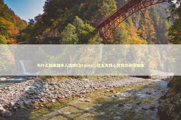 为什么越来越多人选择Chrome：这五大核心优势你必须知道 IT技术