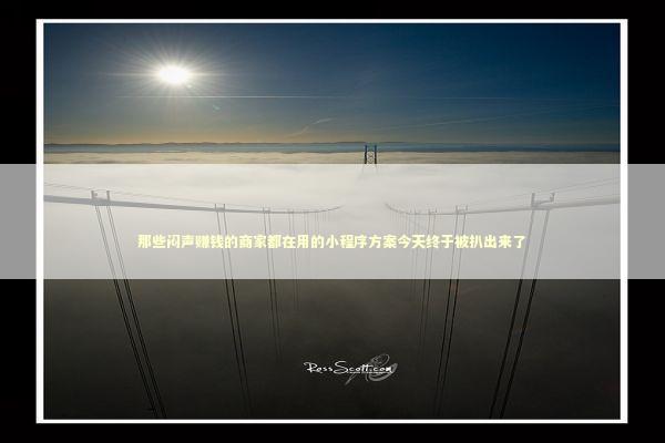 那些闷声赚钱的商家都在用的小程序方案今天终于被扒出来了