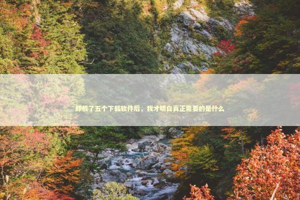 卸载了五个下载软件后，我才明白真正需要的是什么 IT技术